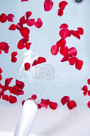Foto de Hermosos pétalos de rosa roja en baño, spa y concepto de bienestar - Imagen libre de derechos