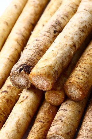 Photo for Chinese yam vegetables on  background, close up - Royalty Free Image