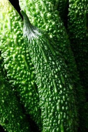 Foto de Pequeño, verde Melones amargos en el fondo, de cerca - Imagen libre de derechos