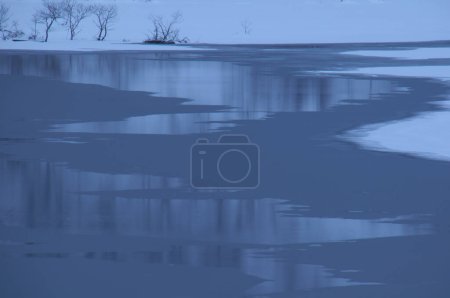 Téléchargez les photos : Rivière gelée en forêt hivernale - en image libre de droit