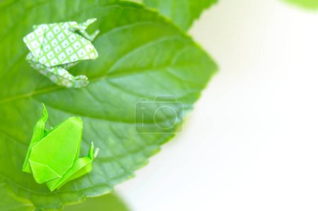 Téléchargez les photos : Origami grenouilles sur feuille verte - en image libre de droit