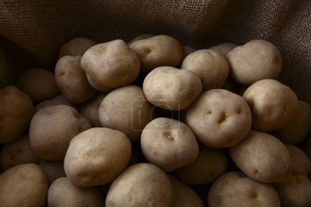 Téléchargez les photos : Vue rapprochée des pommes de terre biologiques fraîches sur sac - en image libre de droit