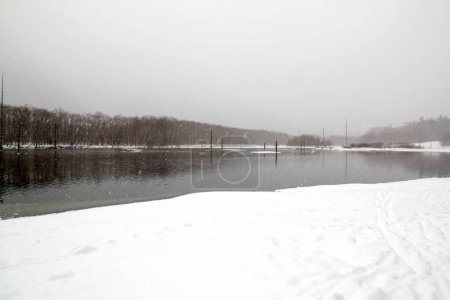 Photo for Lake in winter at the park - Royalty Free Image