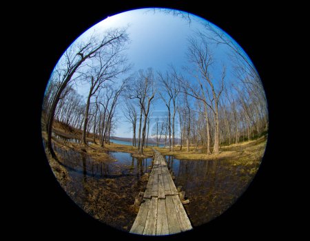 beautiful view of the lake in the park, fish eye lens 