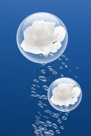 Téléchargez les photos : Bulles d'eau douce et belles fleurs blanches sur fond bleu - en image libre de droit