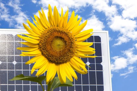 Téléchargez les photos : Tournesol avec panneau solaire - en image libre de droit