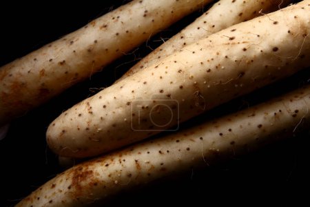 close up of a delicious Chinese yam  on  background