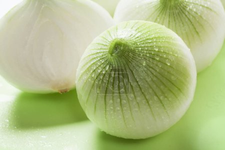 Foto de Primer plano de cebollas frescas, toma de estudio - Imagen libre de derechos