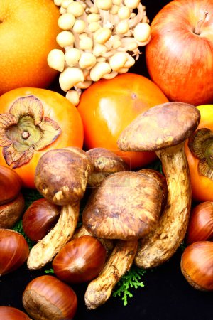 Foto de Surtido de caquis maduros, manzanas, frutos secos y setas - Imagen libre de derechos