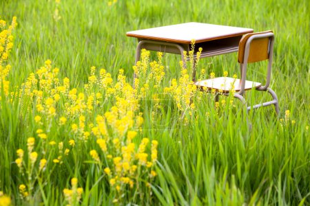 Foto de Flor amarilla y un viejo escritorio de la escuela vintage con una silla en el prado con hierba verde en el fondo. - Imagen libre de derechos