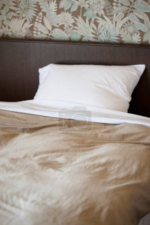 Téléchargez les photos : Oreiller de luxe au lit avec un design intérieur moderne - en image libre de droit