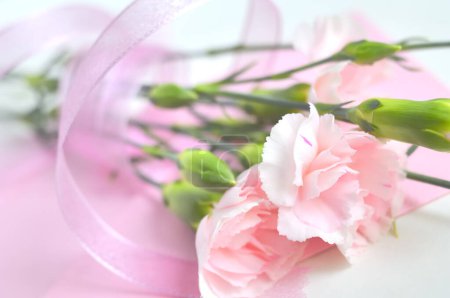 Téléchargez les photos : Bouquet de fleurs Eustoma rose - en image libre de droit