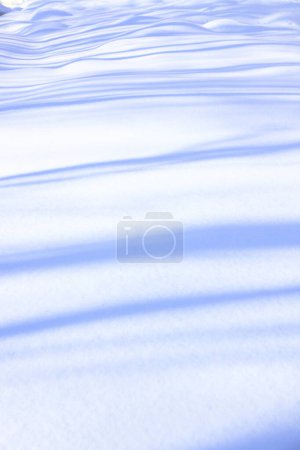 Photo for Winter landscape, snow covered background - Royalty Free Image