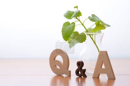 Photo for Q and a symbol on wooden table. concept of the answers of the questions. Green plant in vase - Royalty Free Image