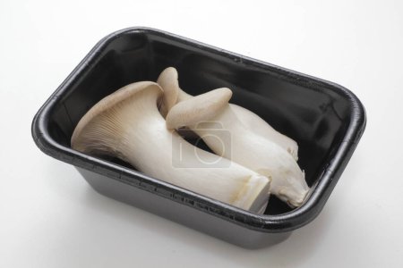 fresh Eringi mushrooms on a white background.
