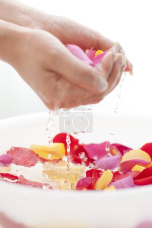 Foto de Mujer tomando baño de manos con pétalos de rosa en tazón. Concepto de spa y bienestar - Imagen libre de derechos