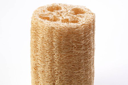 Zero waste concept. Close-up photo of luffa sponge isolated on white background