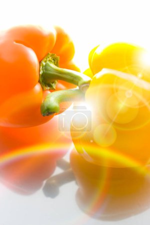 Photo for Colorful peppers on the white background, close up - Royalty Free Image