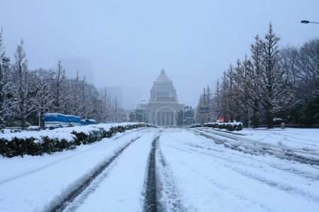 Falling snow obscures a view of the National Diet Building in Tokyo, Japan 