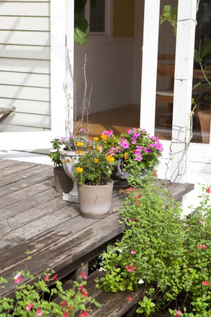 Photo for House porch with flower pots - Royalty Free Image