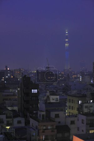 Tokyo Sky tree al atardecer sobre fondo