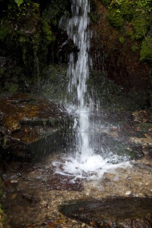 Téléchargez les photos : Belle vue sur la cascade dans la forêt - en image libre de droit