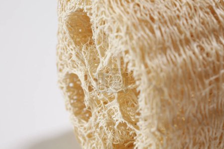 Photo for Zero waste concept. Close-up photo of luffa sponge isolated on white background - Royalty Free Image