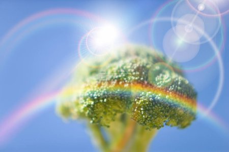 Photo for Green fresh broccoli piece on fork and view of rainbow in blue sky - Royalty Free Image