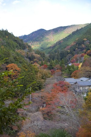 Foto de Colores de otoño sobre el río Katsura en las montañas de Arashiyama, Kyoto, Japón - Imagen libre de derechos
