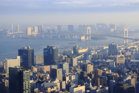 Téléchargez les photos : Tokyo vue sur le paysage urbain d'en haut. Japon - en image libre de droit