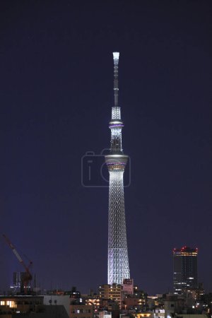 Tokyo Sky tree at evening on  background