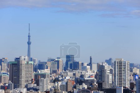 Foto de Tokio Árbol del cielo sobre fondo azul del cielo - Imagen libre de derechos