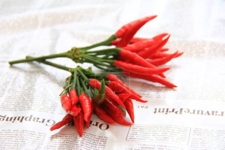 Photo for Close-up view of red hot chilli peppers in kitchen - Royalty Free Image