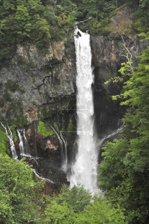 Téléchargez les photos : Vue de la belle cascade dans la forêt - en image libre de droit
