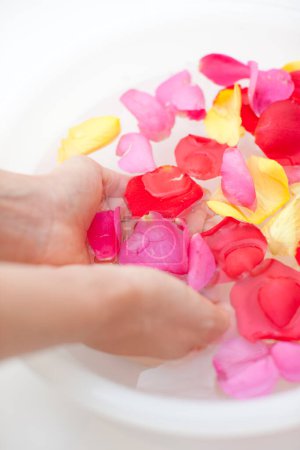 Photo for Woman keeps her hands in bowl with water and rose petals - Royalty Free Image