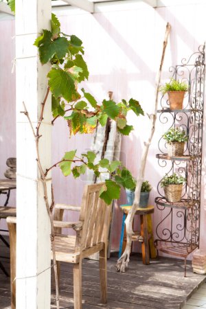 Téléchargez les photos : Belles fleurs sur porche en bois - en image libre de droit