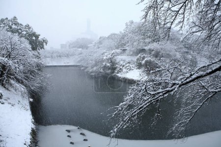 Téléchargez les photos : Paysage hivernal avec arbres enneigés et lac - en image libre de droit
