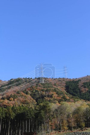 Foto de Hermoso paisaje otoñal con árboles y torres de alto voltaje en las montañas - Imagen libre de derechos