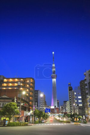 Tokyo Sky tree al atardecer sobre fondo