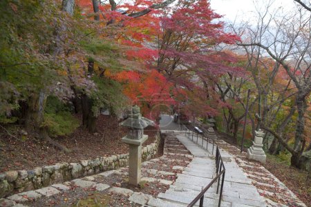Téléchargez les photos : Beautiful colorful leaves in autumn  with city stairs - en image libre de droit