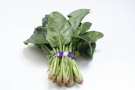 Téléchargez les photos : Vert Moutarde japonaise Épinards légumes - en image libre de droit