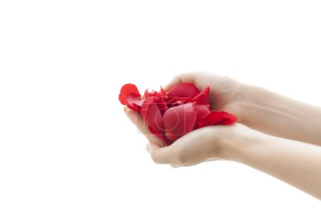 Téléchargez les photos : Femme tenant des pétales de rose rouge dans les mains - en image libre de droit