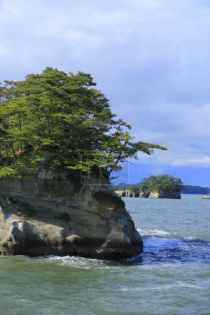 beaux paysages de mer et d'îles rocheuses avec une végétation verdoyante. Îles Matsushima dans la préfecture de Miyagi, Japon