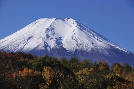 Photo for Mountain Fuji and autumn trees, japan - Royalty Free Image