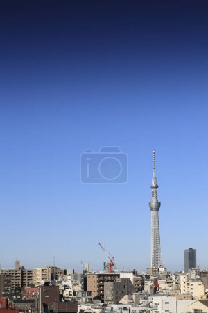 Tokyo Sky tree on nature background