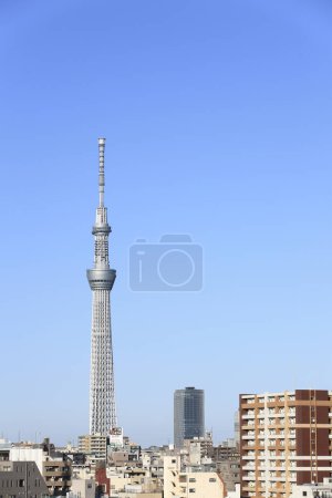 Tokyo Sky tree on nature background