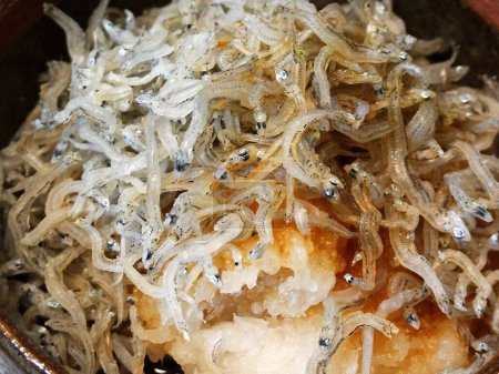 Foto de Fideos de arroz japonés en un tazón - Imagen libre de derechos