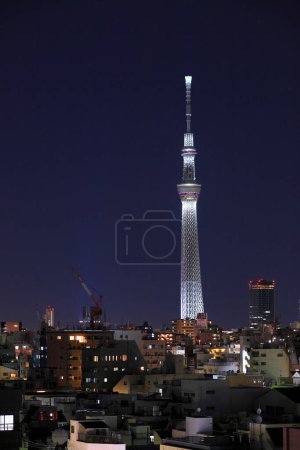 Tokyo Sky Tree am Abend im Hintergrund