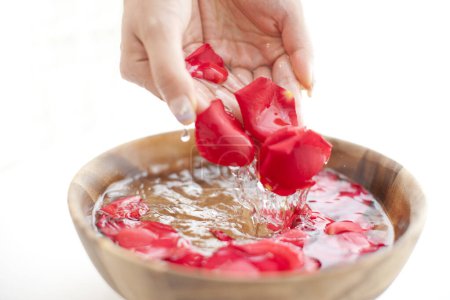 Téléchargez les photos : Femme prenant un bain de mains avec des pétales de rose dans un bol. Spa et concept de bien-être - en image libre de droit