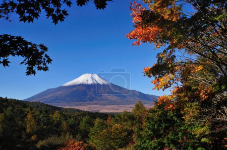 Foto de Montaña Fuji y árboles de otoño, Japón - Imagen libre de derechos